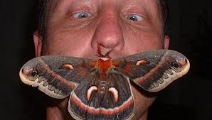 Outside of a year: Most memorable 'Pocono Outdoors' moments of 2012