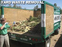 Phoenix Junk Removal Hauling Recycling Scottsdale Tree Trimming Tree Trimming Service Yard Waste Removal