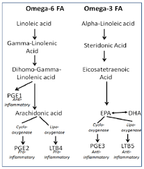 Revisiting Parenteral Nutrition Associated Liver Disease Pnald Malta Medical School Gazette