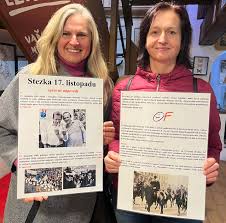 Image result for k%u0159i%u017E k pruhovan 