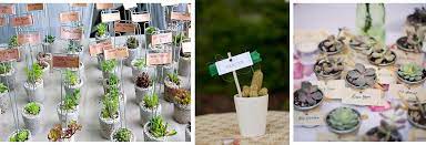 Place Tags In Plants Wedding Gifts Plant Gifts Wedding San Francisco