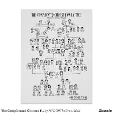 The Complicated Chinese Family Tree Mandarin Poster