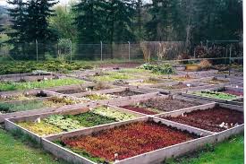 Weitere ideen zu garten, garten ideen, pflanzen. Friedrich Garten Und Landschaftsbau Referenzen Pflanzen