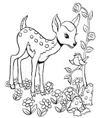 Pour avoir des fesses fermes et galbées les programmes de musculation ne manquent pas. Coloriage Chevreuil 2723 Animaux Album De Coloriages