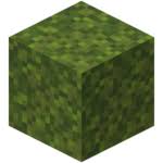 Maybe you would like to learn more about one of these? Moss Block Official Minecraft Wiki