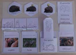 Sämtliche vorlagen können kostenlos und ohne anmeldung bearbeitet und als pdf mit. Vorlagen Einfaches Igel Lapbook Zaubereinmaleins Designblog