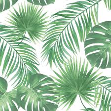 Patti Light Green Leaves Wallpaper Green Leaf Wallpaper Leaf Wallpaper Green Wallpaper