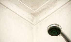 This causes cold spots at the ceiling edges, which is why mold gathers on those spots. What Are Those Black Dots On Your Bathroom Ceiling Advantaclean