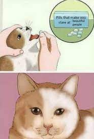 Why Am I Laughing So Hard At This That I M Crying Can I Introduce To The Laughing C R Y I N G Emoji Funnycatsanddogs Funny Pictures Funny Memes Memes