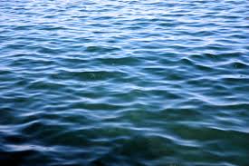 Image result for sea