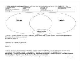 Venn Diagram Of Mitosis Vs Meiosis Sada Margarethaydon Com