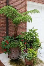 See what monica mariner (powderqueen) has discovered on pinterest, the world's biggest collection of ideas. Denise Preischel Dpscissors Profile Pinterest