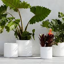 Share your story & tag @westelm ✨ like2b.uy/westelm. Grid Planters