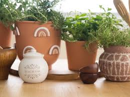 How to care for an apartment herb garden. How To Grow Herbs Indoors Apartment Therapy