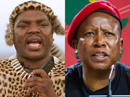 Ngizwe Mchunu issues apology to Court and Malema after being found guilty of contempt