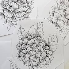 Pin By Jess Davis On Tattoos 3 Hydrangea Tattoo Peonies And Hydrangeas Flower Line Drawings