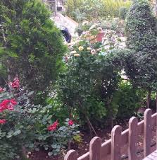 Free download and streaming auran kwadayi hausa novel on your mobile phone or pc/desktop. Takori Posts Facebook