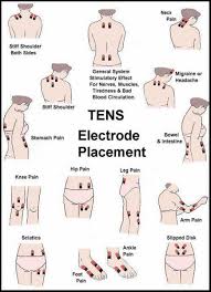 Pin On Reflexology