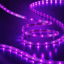 Philips 135ct Halloween Led Flat Rope Lights Purple Rope Lights Halloween Decorations Indoor Halloween Decorations