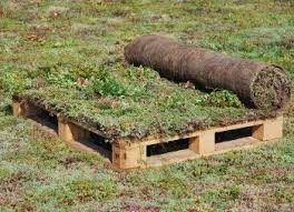 Strat De Vegetatie Biodegradabil Sedum Mix Jardineria