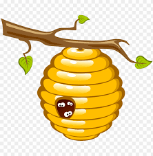 A concept of a bee during development. Download Honey Bee Beehive Clip Art Bee Clip Art Png Free Png Images Toppng
