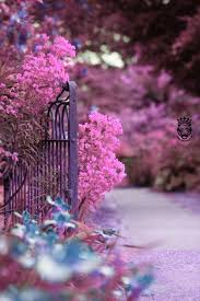 Vintage Car Jeep Editing Picsart Background Hd 05 Image Free Dowwnload In 2020 Love Background Images Blurred Background Photography Picsart Background