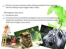Spesies ini dapat menyebabkan kepunahan karena memburu spesies asli, atau menyaingi sesies asli tersebut dalam mendapat makaan. Kepupusan Flora Flauna Ppt Download
