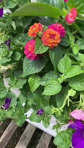 Memorial park is located at the national museum of the united states air force in dayton, ohio. Furst The Florist Greenhouses Home Facebook