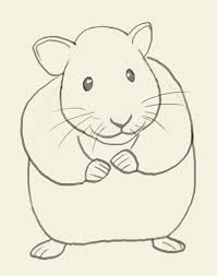 How To Draw Hamster Easy Animal Drawings Drawings Hamster