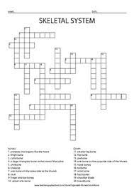 After creating the worksheet, there is a blue menu next is your puzzle pdf tiny? Skeletal System Crossword Puzzle By Organized Homeschool Mama Tpt