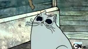 Melt the dark chocolate for decorating in. Disturbing Cat Flapjack Wiki Harbor Fandom