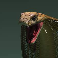 3d Model Cobra Snake 3d Model King Cobra Snake Cobra Snake Snake