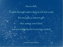 Nature Vs Nurture C Ninnu Kori Poetry And Ninnukoripoetry 2017 Comment Like Tag Share Enjoy Please Tag Ninn Poetry Instagram Instagram Posts