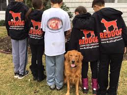 abner casanova (@casanova_abner)