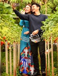 Pertama kali ditayangkan pada 16 disember 2015 hingga 27 januari 2016 di slot lestary tv3. Info Dan Sinopsis Drama Cik Cinderella Dan Encik Tengku Slot Dahlia
