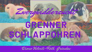 Das heißt sie sind eher ruhig kleinbleibend und mit schlappohren. Das Kaninchen Abc Die Grenner Schlappohren