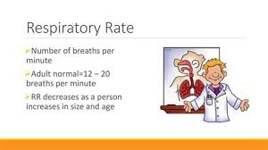 Image result for Respiratory Rate