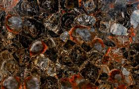 The fossil wood are remnants of an ancient tropical ha. 101 Black Petrified Wood Aeon Stone Tile Granite Marble Limestone Quartz Countertops Stone Slabs Granite Countertops Porcelain Tiles Porcelain Slabs In Vancouver West Vancouver North Vancouver Burnaby Surrey Richmond Victoria Whistler