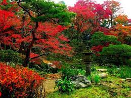 Japanese Gardens Japanese Garden Garden Waterfall Asian Garden