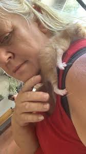 Mandarin baby update and weight