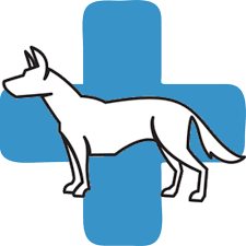 Vets for animals near me. Vets Near Me