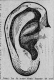 Ear print analysis - Wikipedia