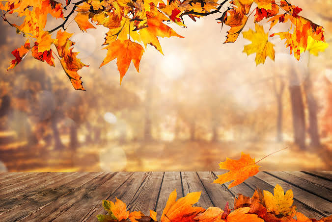 National Fall Foliage Week | Government Book Talk