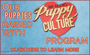We go through the program with every litter and can say with confidence that. Our Program Majestic Rose Goldendoodles Llc