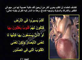 resultat de recherche d images pour ايات قرانية مكتوبة على مناظر طبيعية praying to god words god almighty