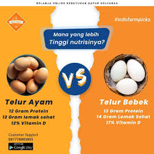 Telur ayam banyak dipilih oleh masyarakat karena kandungan kalori yang rendah cukup menurunkan resiko peningkatan berat badan meskipun dengan catatan tidak. Indofarm Publicaciones Facebook