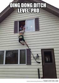 Ding Dong Ditch Level Pro Funny Meme Pictures Ding Dong Ditch Funny Pictures