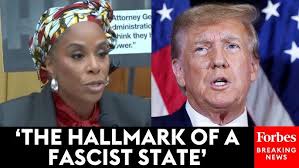 JUST IN: Stacey Plaskett Eviscerates Donald Trump And His Promises For A  Possible 2nd Term