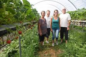 Fruits Rouges Les Fraises Et Les Framboises Des Perles Du Velay Font Rougir De Plaisir La Commere 43