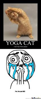 Yoga is an ancient physical activity that combines movement with controlled breathing techniques. Funny Yoga Memes
